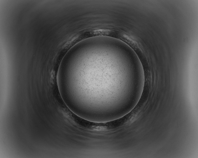 X0000087670649200705041011