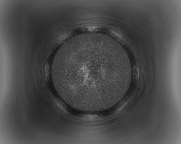 X0000087670650200705041011