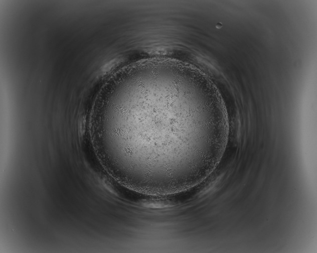 X0000087670652200705041011