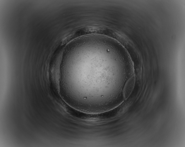 X0000087670653200705041011