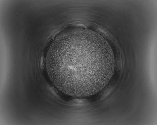 X0000087670654200705041011