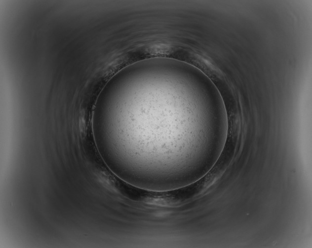 X0000087670655200705041011