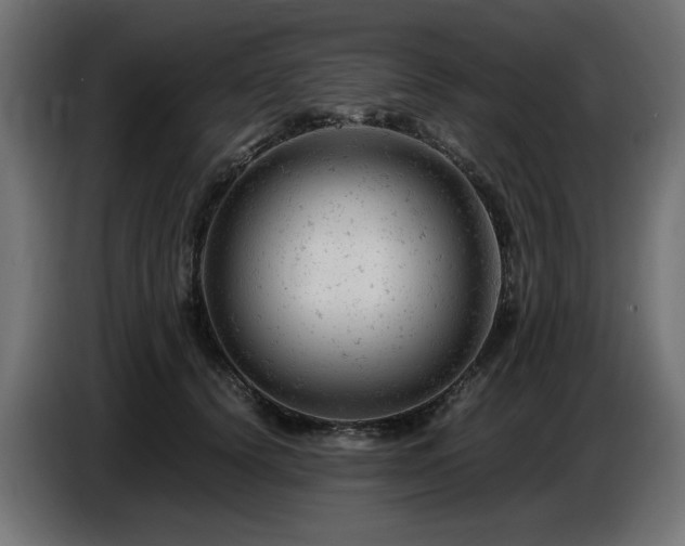 X0000087670656200705041011