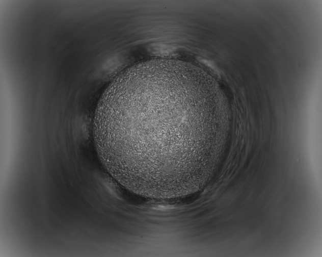 X0000087670658200705041011