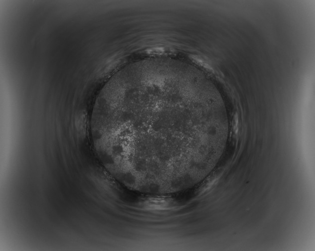 X0000087670659200705041011