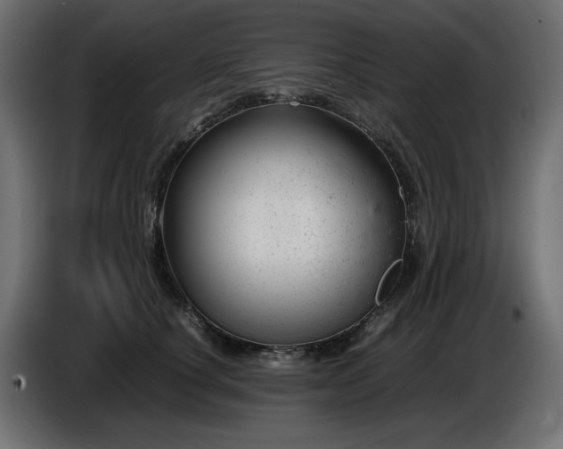 X0000087670660200705041011