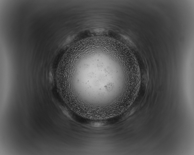 X0000087670662200705041011