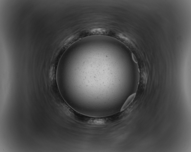 X0000087670665200705041011