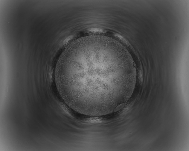 X0000087670668200705041011