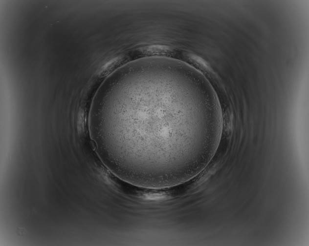 X0000087670669200705041011