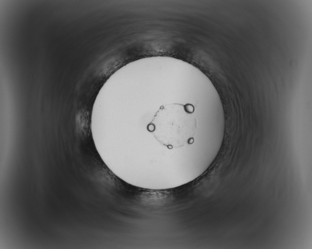 X0000087670672200705041011