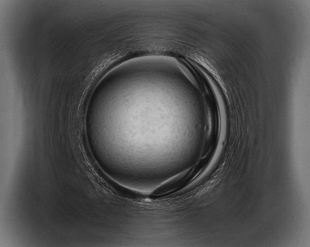 X0000087670673200705041011