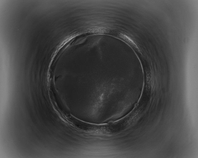 X0000087670674200705041011