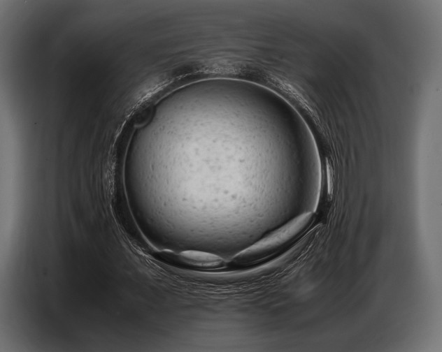 X0000087670675200705041011