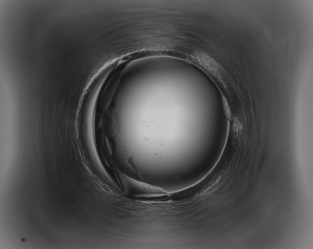 X0000087670676200705041011