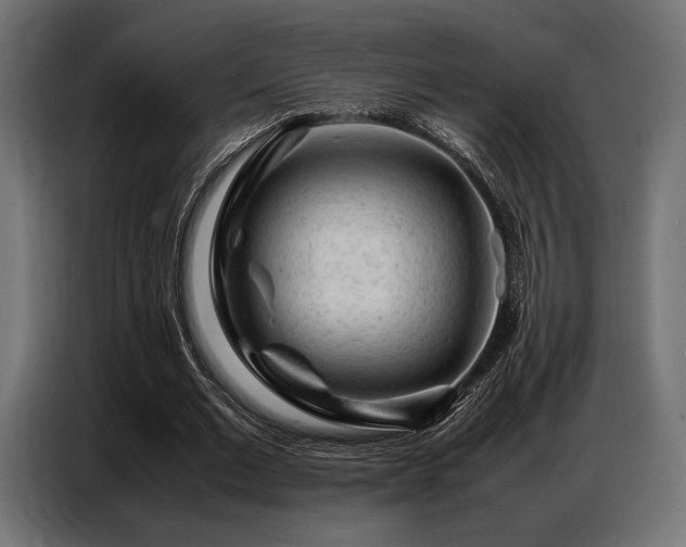 X0000087670677200705041011