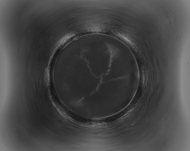 X0000087670678200705041011