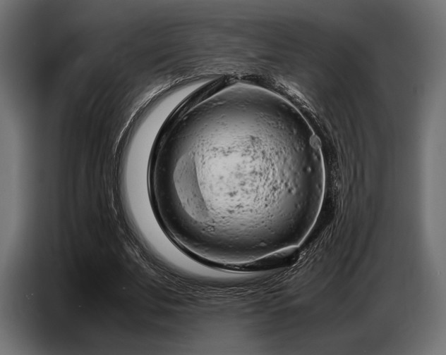 X0000087670679200705041011