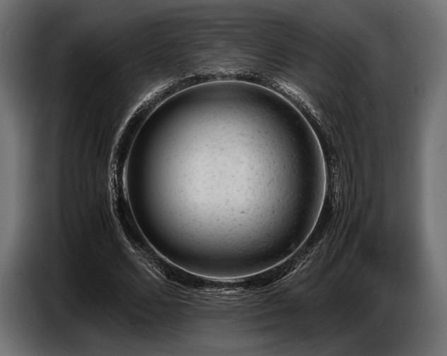 X0000087670680200705041011