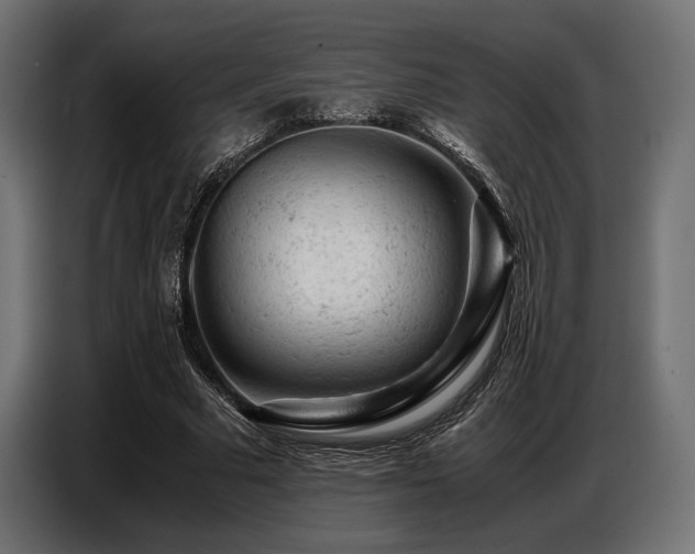 X0000087670681200705041011