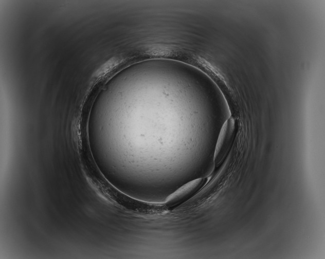 X0000087670682200705041011