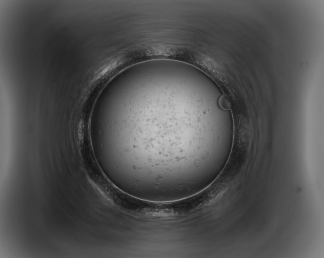 X0000087670683200705041011