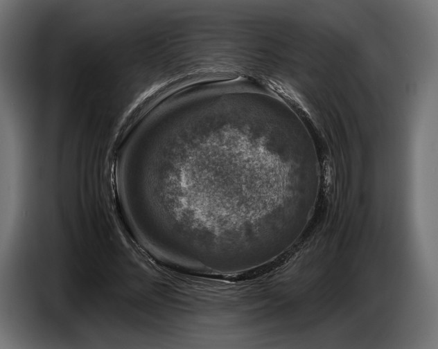 X0000087670684200705041011