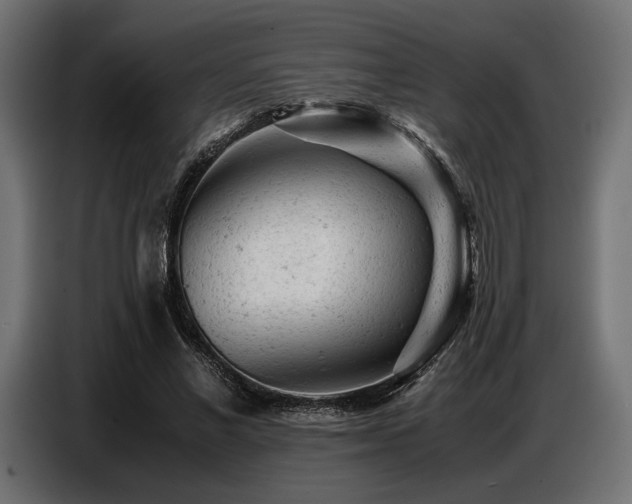 X0000087670685200705041011