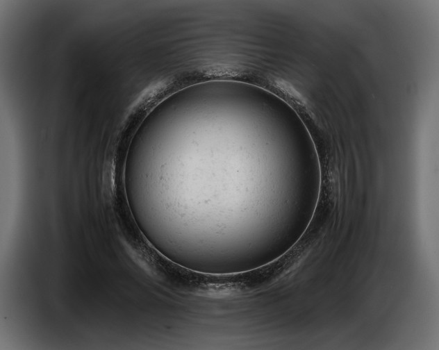 X0000087670686200705041011