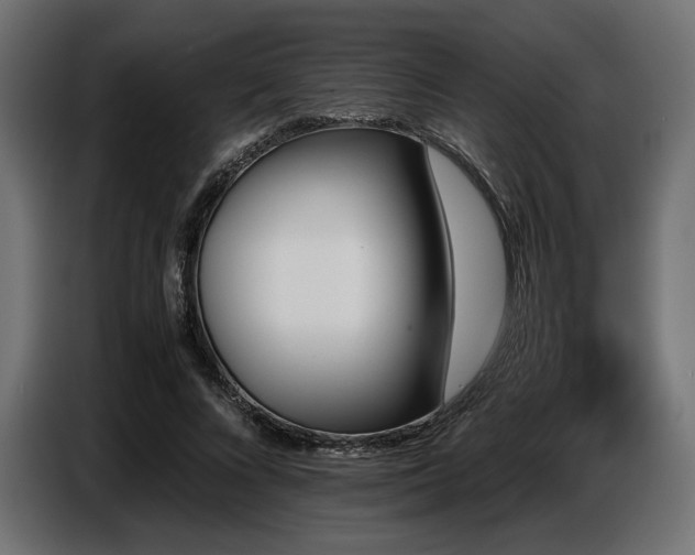 X0000087670688200705041010