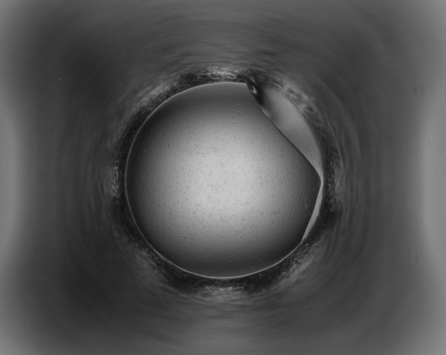 X0000087670689200705041010