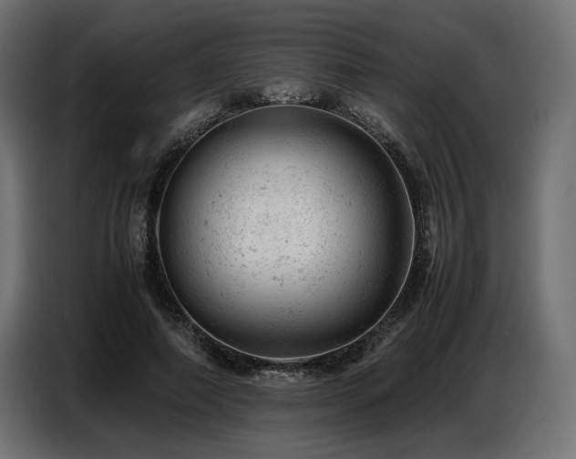 X0000087670690200705041010