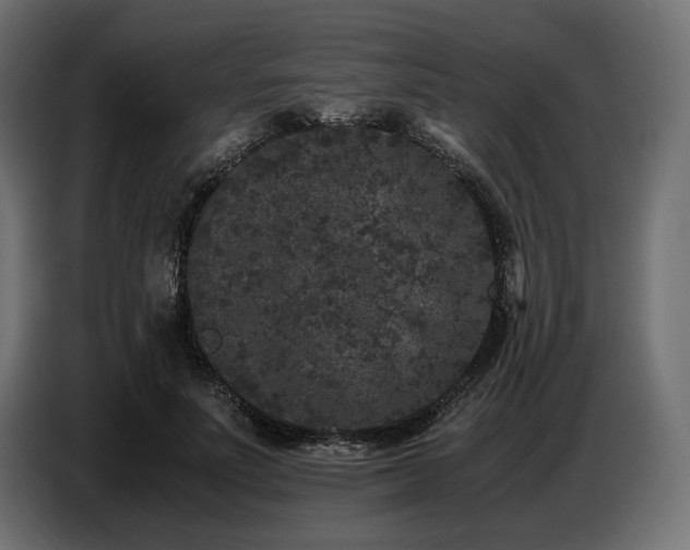 X0000087670691200705041010