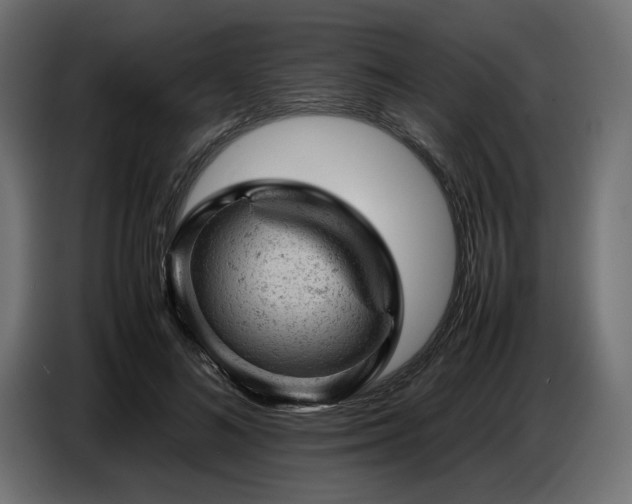 X0000087670692200705041010