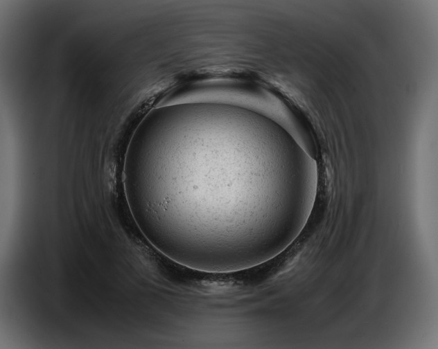 X0000087670693200705041010