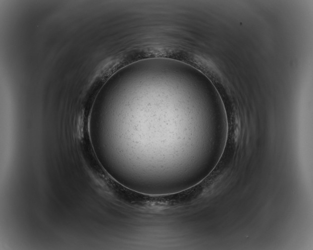 X0000087670694200705041010