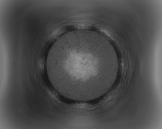 X0000087670695200705041010