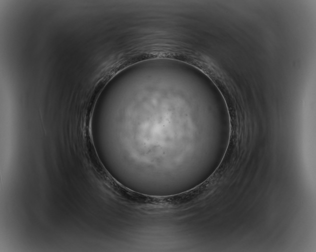 X0000087670696200705041010