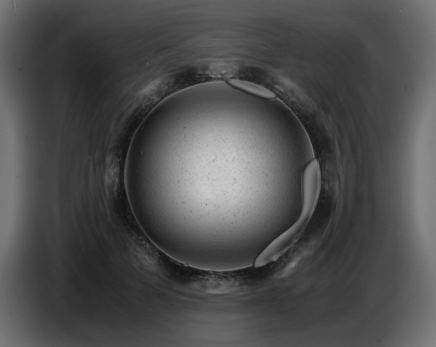 X0000087670697200705041010