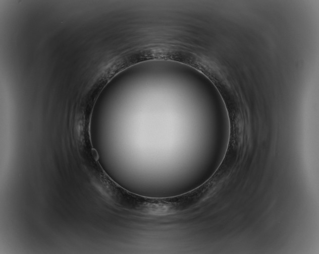 X0000087670698200705041010