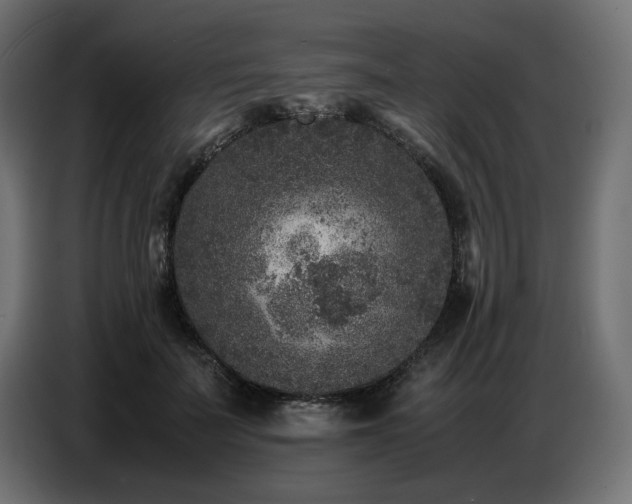 X0000087670699200705041010