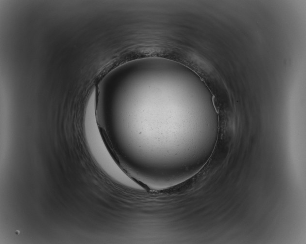 X0000087670700200705041010