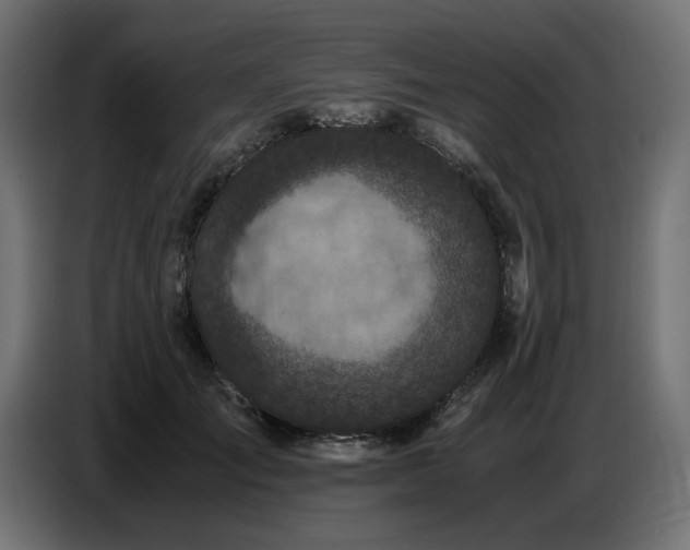 X0000087670701200705041010