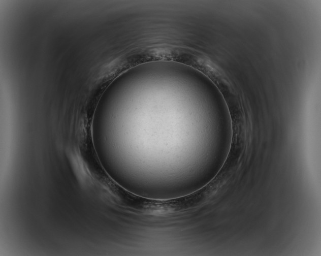 X0000087670702200705041010