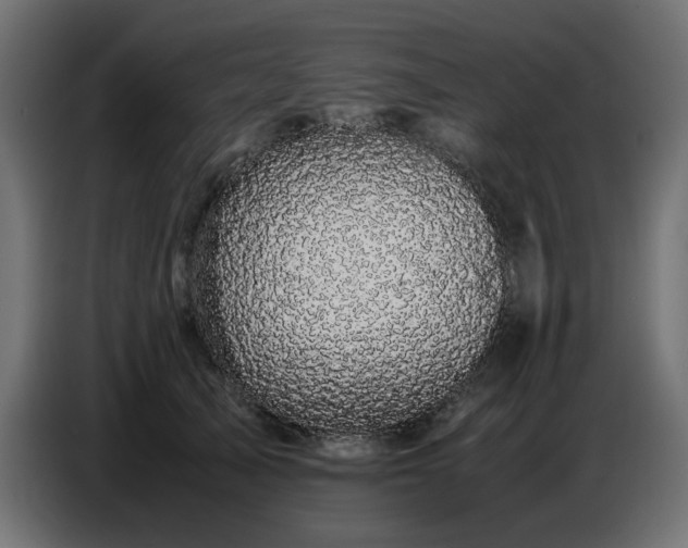 X0000087670705200705041010