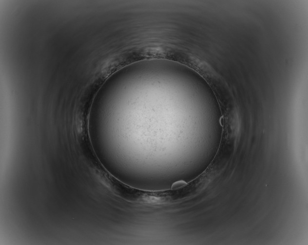 X0000087670706200705041010