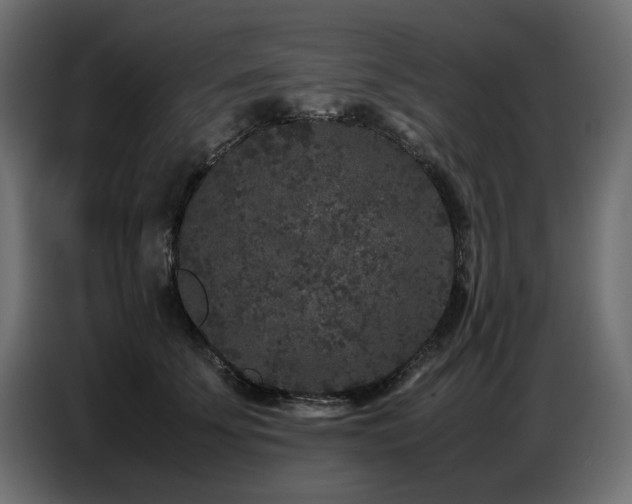 X0000087670707200705041010