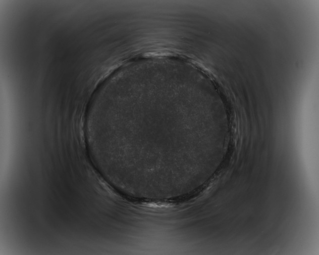 X0000087670708200705041010