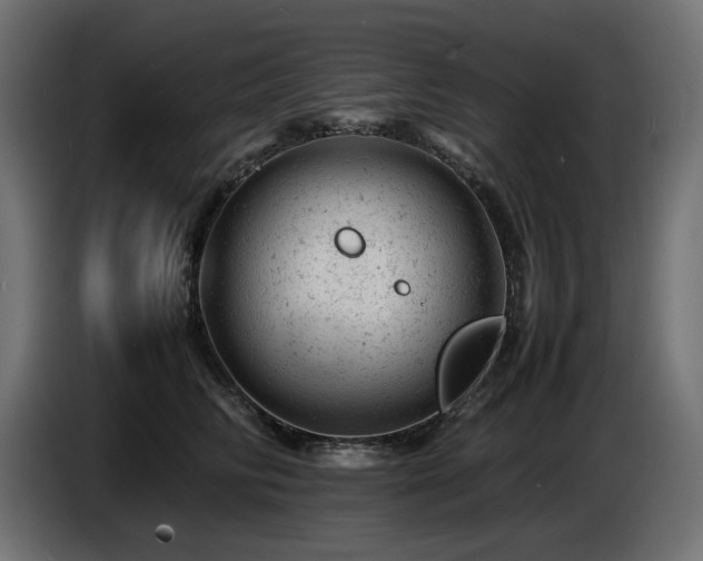 X0000087670710200705041010