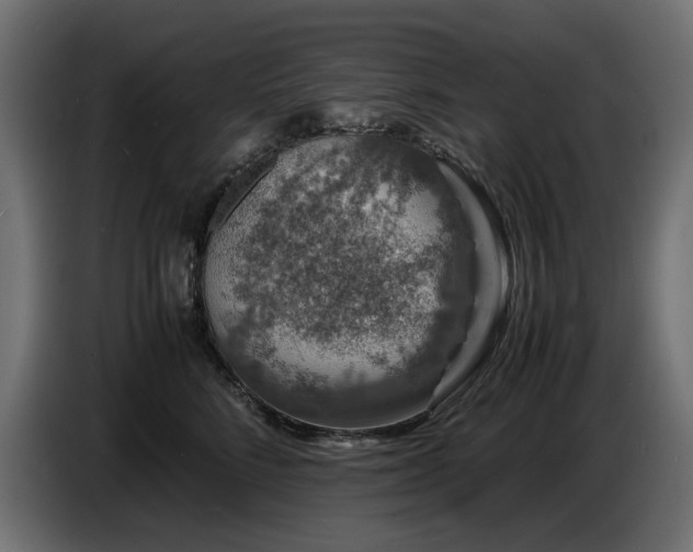 X0000087670712200705041010